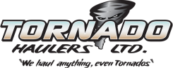 Geoport logo